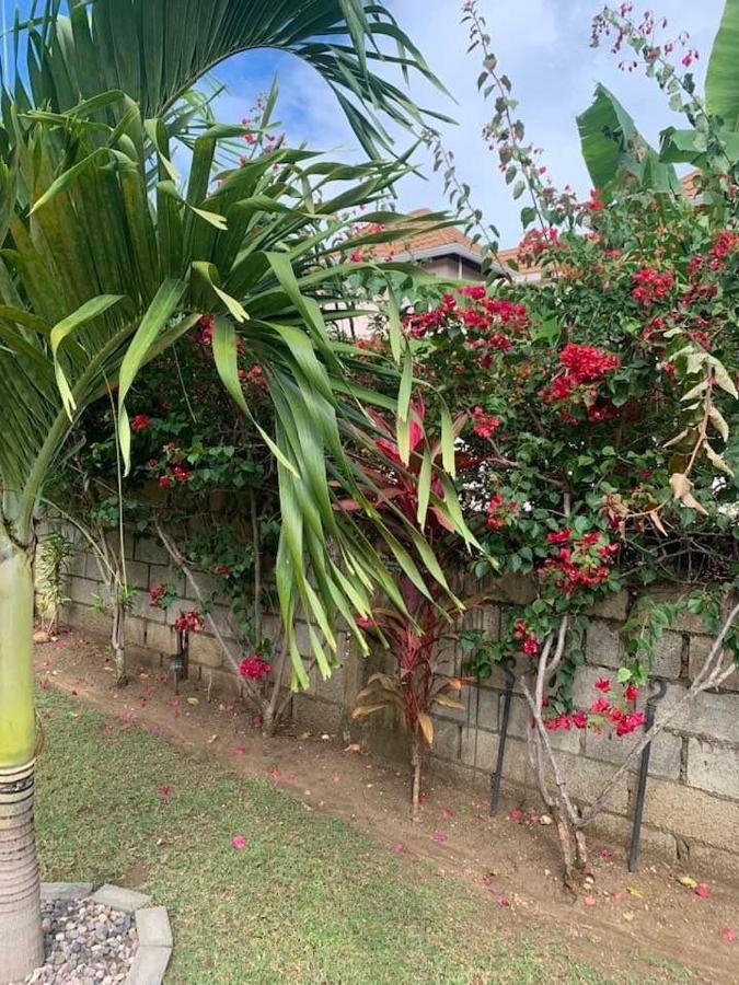 Modrians Bed & Breakfast Runaway Bay Ngoại thất bức ảnh