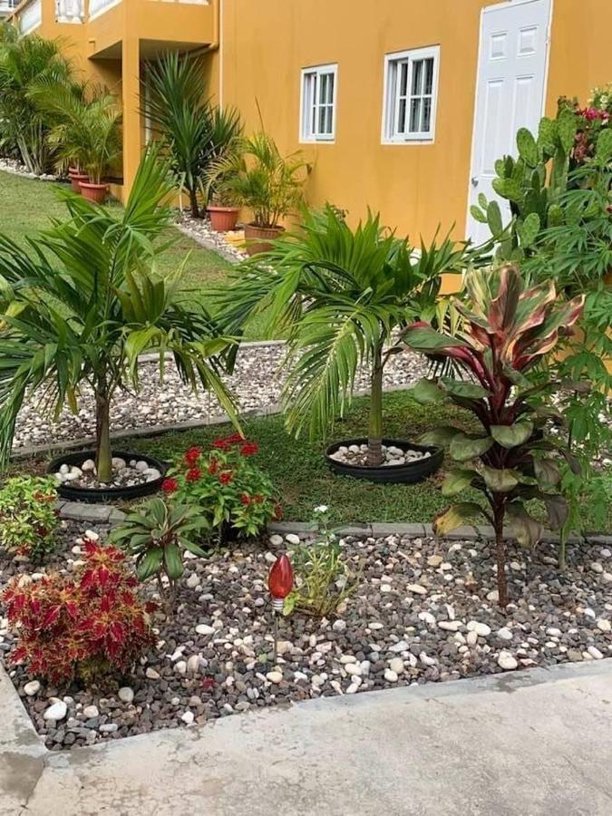 Modrians Bed & Breakfast Runaway Bay Ngoại thất bức ảnh