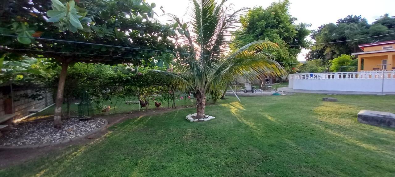 Modrians Bed & Breakfast Runaway Bay Ngoại thất bức ảnh